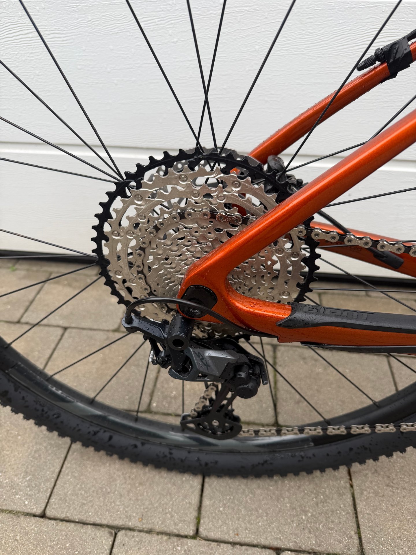 Giant XTC Advanced 2 Carbon MTB | NEU & UNBENUTZT | Shimano SLX | 29 Zoll – Ansicht 5
